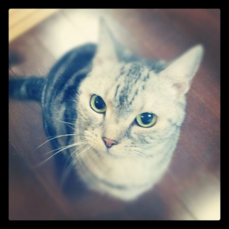 f:id:rinanan22:20121218153813j:image