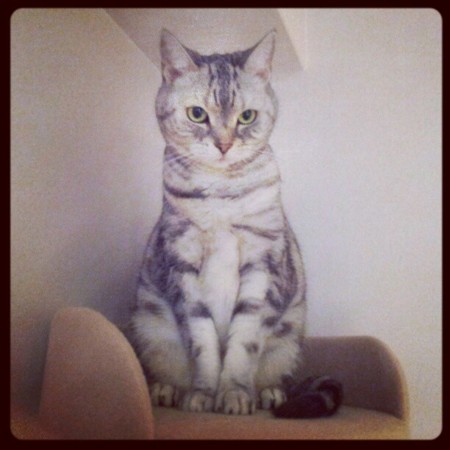 f:id:rinanan22:20121218153819j:image