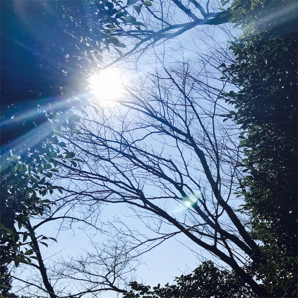 f:id:rindohmaki:20170129224036j:image