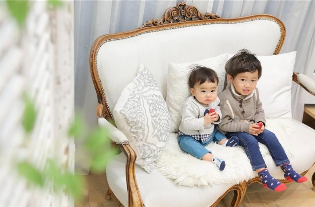 f:id:rinfamilylife:20201202151039j:image