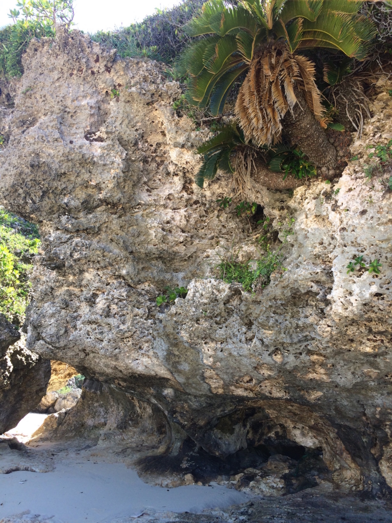 f:id:ringo6119:20160920144518j:plain f:id:ringo6119:20160920144518j:plain