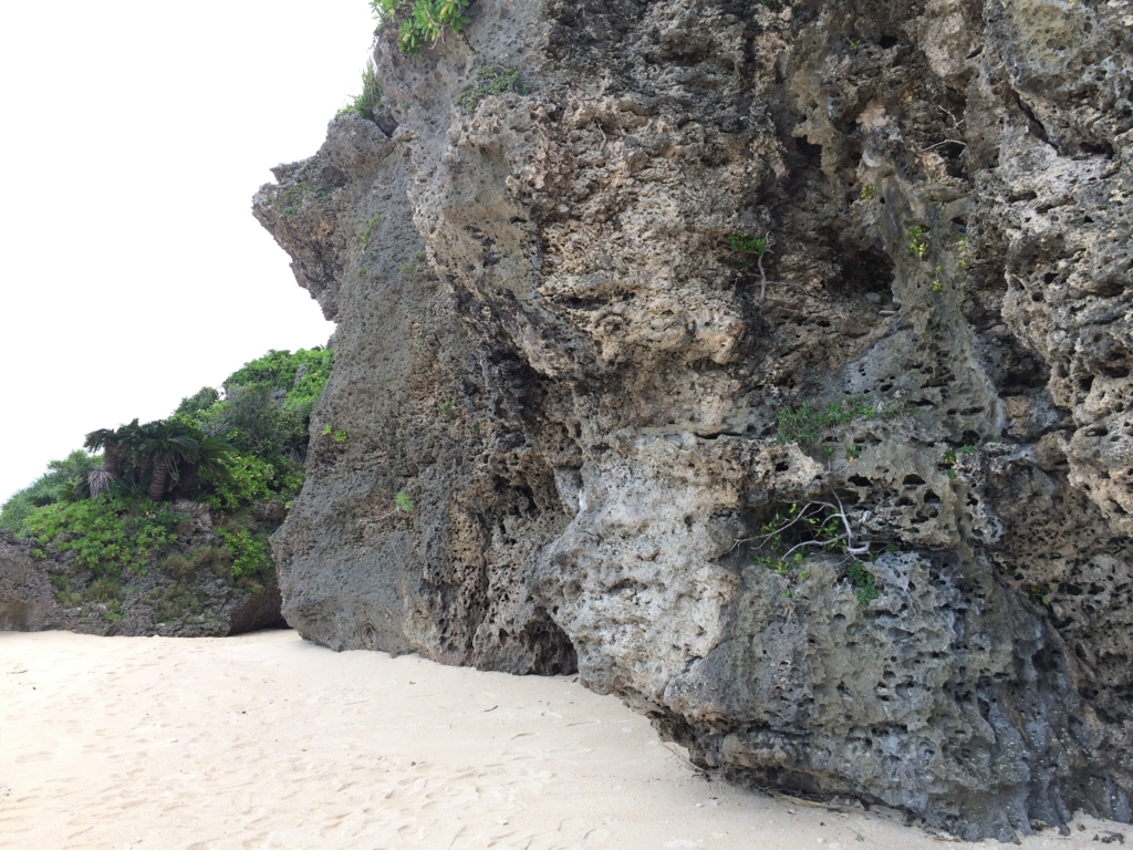 f:id:ringo6119:20160922092033j:plain f:id:ringo6119:20160922092033j:plain