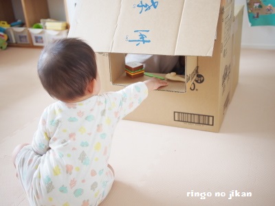 f:id:ringo_co:20160606222530j:plain