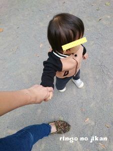 f:id:ringo_co:20161014194626j:plain