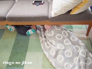 f:id:ringo_co:20161210142416j:plain