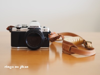 f:id:ringo_co:20161210150024j:plain