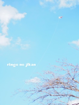 f:id:ringo_co:20170104010310j:plain
