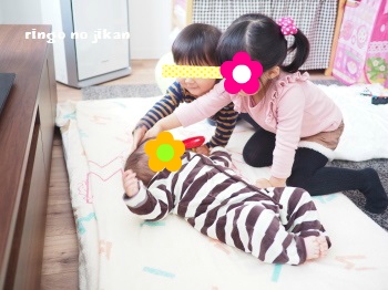 f:id:ringo_co:20170107014653j:plain