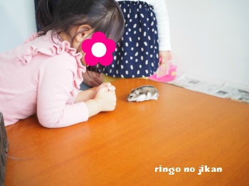 f:id:ringo_co:20170107014847j:plain