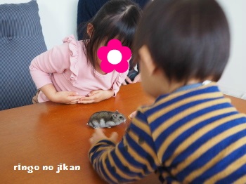 f:id:ringo_co:20170107014902j:plain