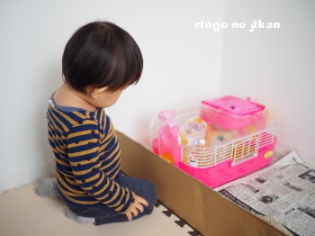 f:id:ringo_co:20170107014933j:plain
