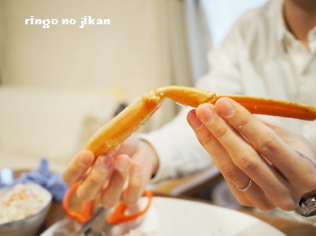 f:id:ringo_co:20170107223033j:plain