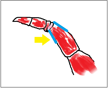 f:id:ringo_co:20170107223525p:plain