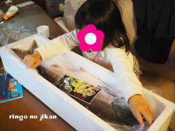 f:id:ringo_co:20170107230244j:plain