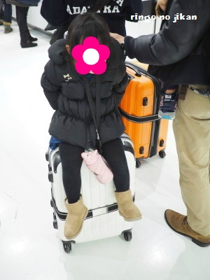 f:id:ringo_co:20170112235154j:plain f:id:ringo_co:20170112235154j:plain