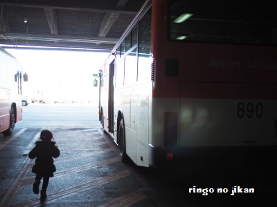 f:id:ringo_co:20170112235338j:plain f:id:ringo_co:20170112235338j:plain