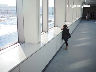f:id:ringo_co:20170112235727j:plain f:id:ringo_co:20170112235727j:plain