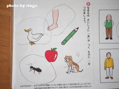 f:id:ringo_co:20170119230826j:plain
