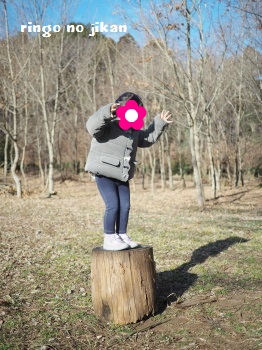 f:id:ringo_co:20170209114841j:plain f:id:ringo_co:20170209114841j:plain
