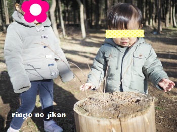f:id:ringo_co:20170209114907j:plain f:id:ringo_co:20170209114907j:plain