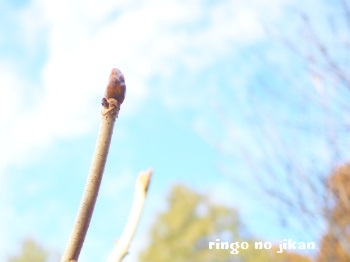 f:id:ringo_co:20170209115022j:plain f:id:ringo_co:20170209115022j:plain