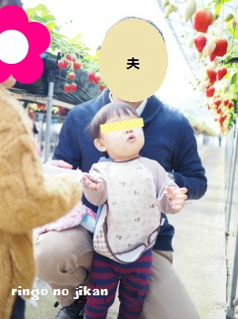 f:id:ringo_co:20170209115229j:plain f:id:ringo_co:20170209115229j:plain