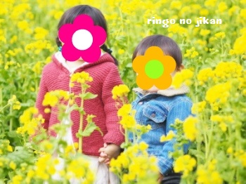 f:id:ringo_co:20170326071644j:plain f:id:ringo_co:20170326071644j:plain