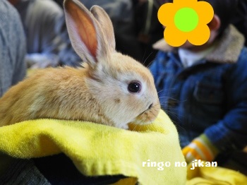 f:id:ringo_co:20170326072413j:plain f:id:ringo_co:20170326072413j:plain