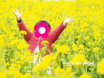 f:id:ringo_co:20170326073411j:plain f:id:ringo_co:20170326073411j:plain