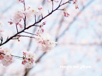 f:id:ringo_co:20170408061809j:plain