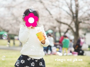 f:id:ringo_co:20170408061822j:plain