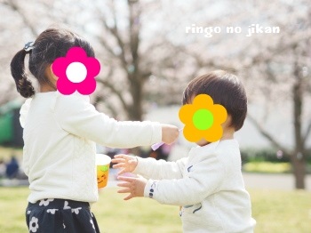 f:id:ringo_co:20170408061855j:plain