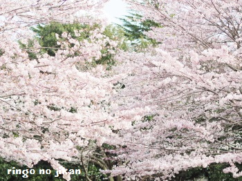 f:id:ringo_co:20170408061901j:plain