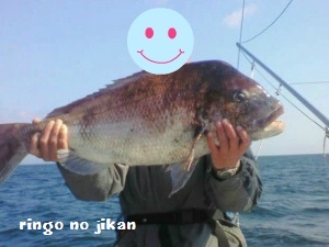 f:id:ringo_co:20170417000737j:plain f:id:ringo_co:20170417000737j:plain