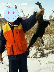 f:id:ringo_co:20170417000744j:plain f:id:ringo_co:20170417000744j:plain