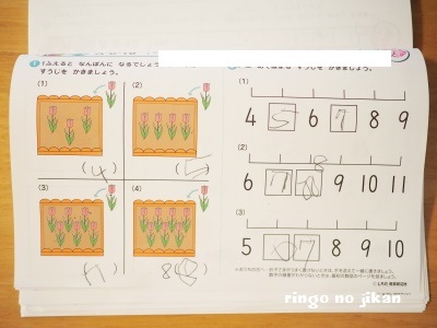 f:id:ringo_co:20170511060517j:plain