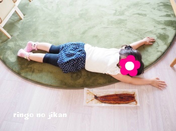 f:id:ringo_co:20170605060014j:plain