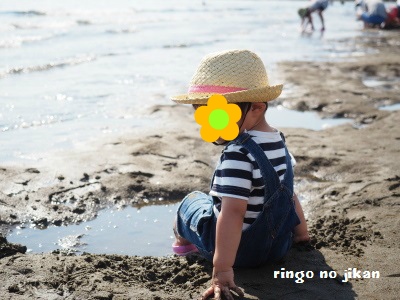 f:id:ringo_co:20170615052334j:plain