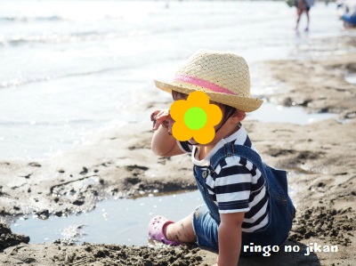 f:id:ringo_co:20170615052345j:plain