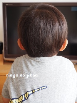 f:id:ringo_co:20170630062444j:plain