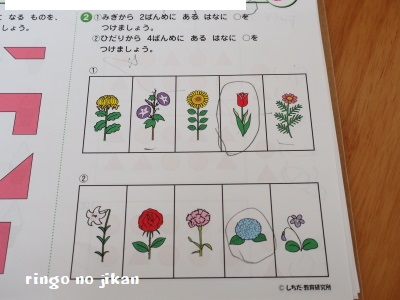 f:id:ringo_co:20170726061744j:plain