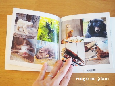 f:id:ringo_co:20170828064500j:plain