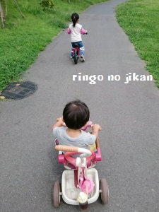 f:id:ringo_co:20170831065128j:plain