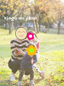 f:id:ringo_co:20171106005722j:plain