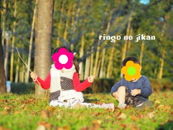 f:id:ringo_co:20171106005829j:plain