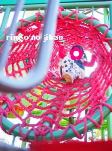 f:id:ringo_co:20171107061147j:plain