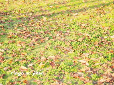 f:id:ringo_co:20171107063515j:plain