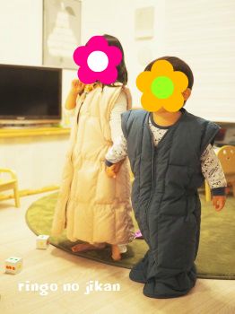 f:id:ringo_co:20171108063402j:plain f:id:ringo_co:20171108063402j:plain