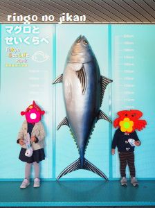 f:id:ringo_co:20171114064225j:plain f:id:ringo_co:20171114064225j:plain