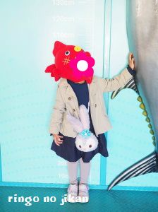 f:id:ringo_co:20171114064240j:plain f:id:ringo_co:20171114064240j:plain